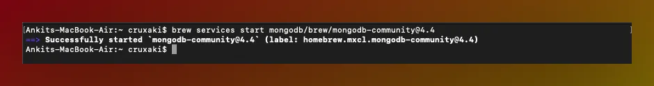 Starting mongodb with homebrew